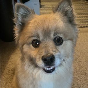 Meet your Posher, Shawn